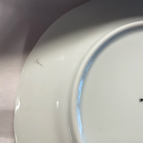 Limoges plates: SET of TWO - Picture 3 of 3